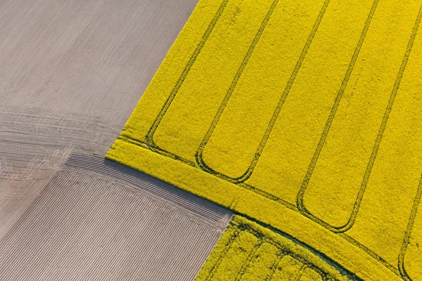 Aerial view of harvest fields — Stock Photo, Image