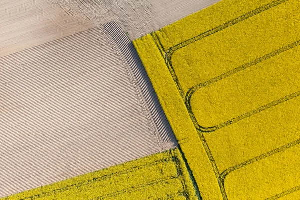 Aerial view of harvest fields — Stock Photo, Image