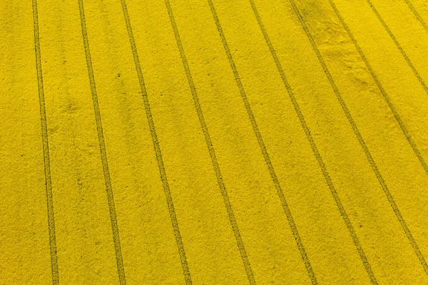 Aerial view of harvest fields — Stock Photo, Image