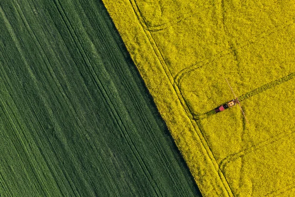 Bovenaanzicht van oogstvelden met trekker — Stockfoto