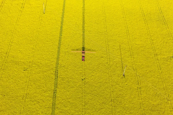 Vista aerea dei campi di raccolta con trattore — Foto Stock