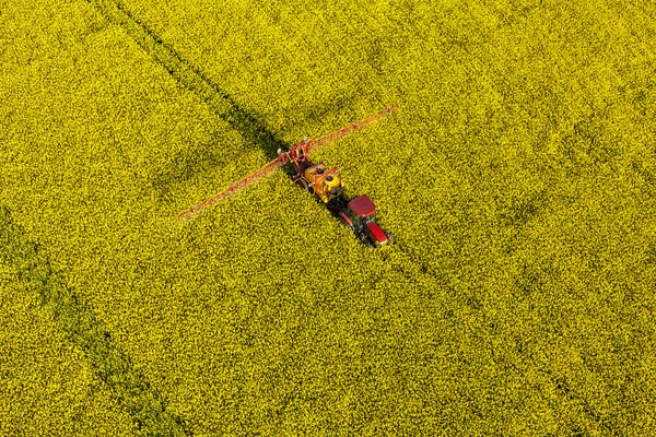 Аерофотозйомка жовтих полів збирання ріпаку з трактором — стокове фото