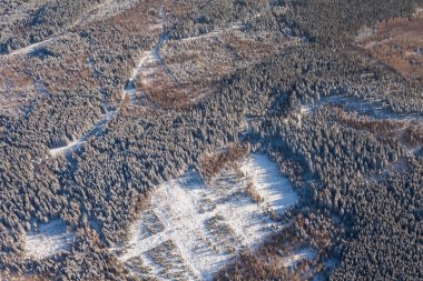 Kış zamanı ormanın havadan görünüşü