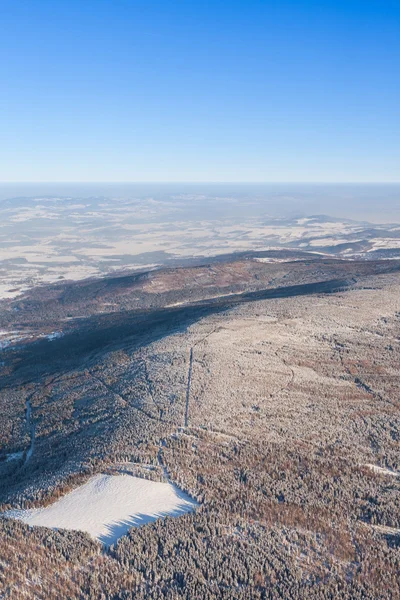 Légi kilátás az erdőre télen — Stock Fotó