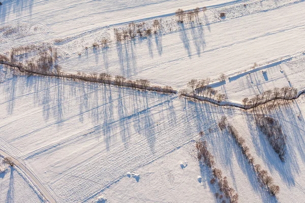 Skörden fält i vinter — Stockfoto