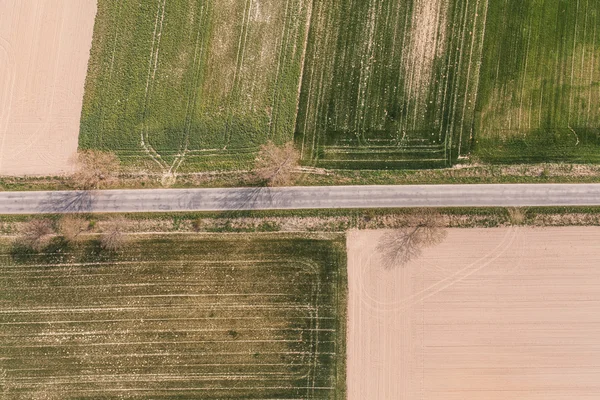 Campos de cosecha en Polonia —  Fotos de Stock