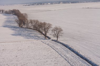 Kış hasat alanları  