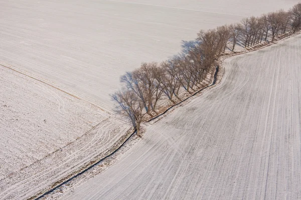 Campos de colheita no inverno — Fotografia de Stock