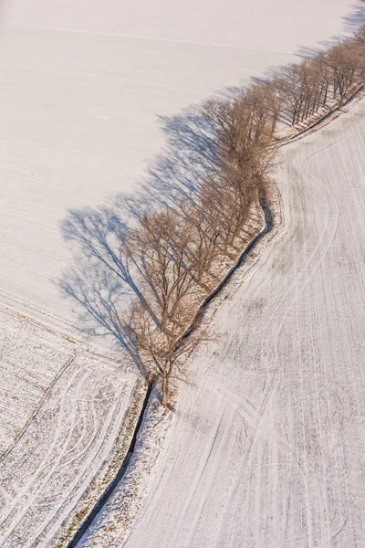 Campos de colheita no inverno — Fotografia de Stock