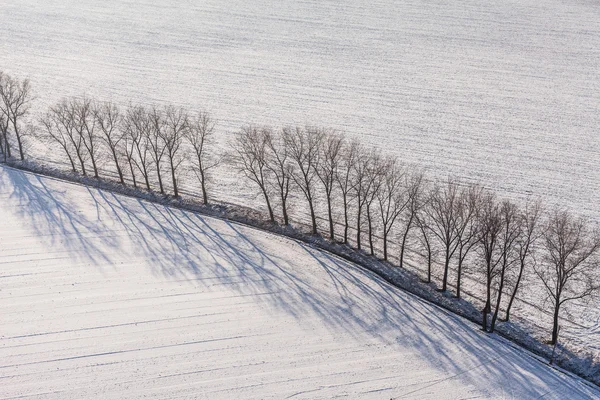 Harvest fields in winter — Stock Photo, Image