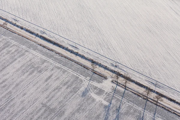 Skörden fält i vinter — Stockfoto