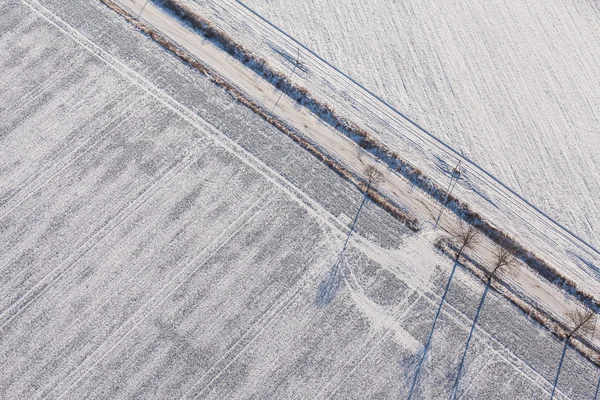 겨울에 수확 필드 — 스톡 사진