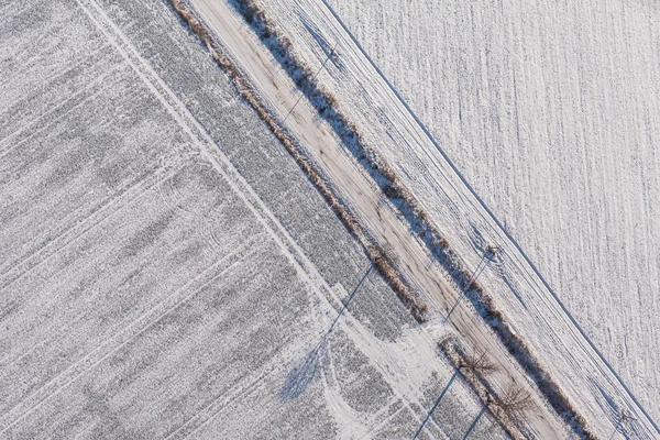 Skörden fält i vinter — Stockfoto