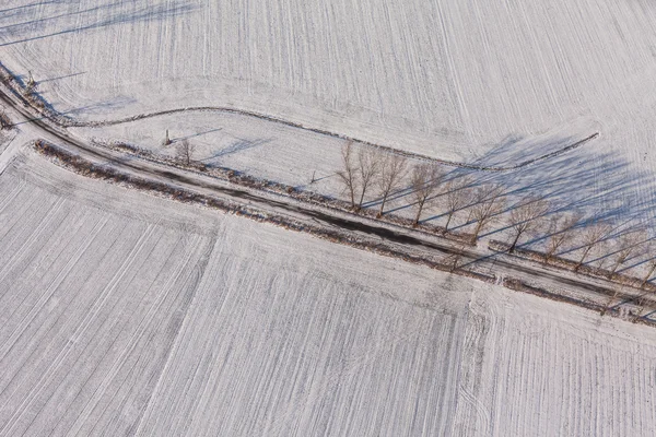 Skörden fält i vinter — Stockfoto