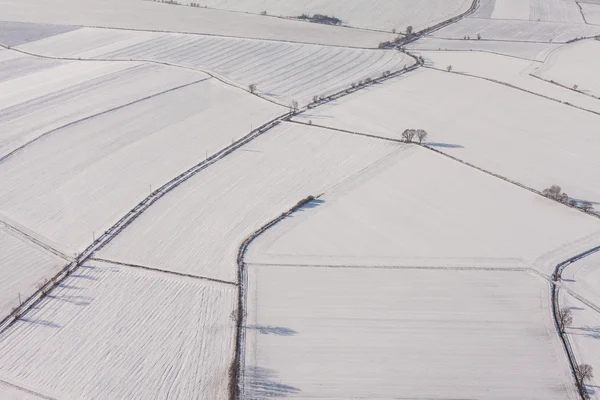 Skörden fält i vinter — Stockfoto