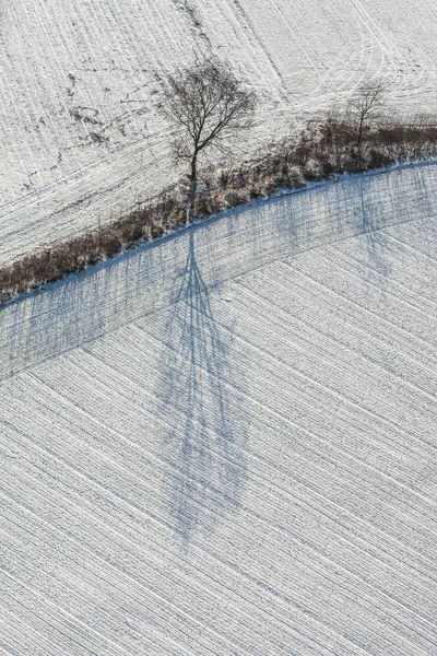 Skörden fält i vinter — Stockfoto