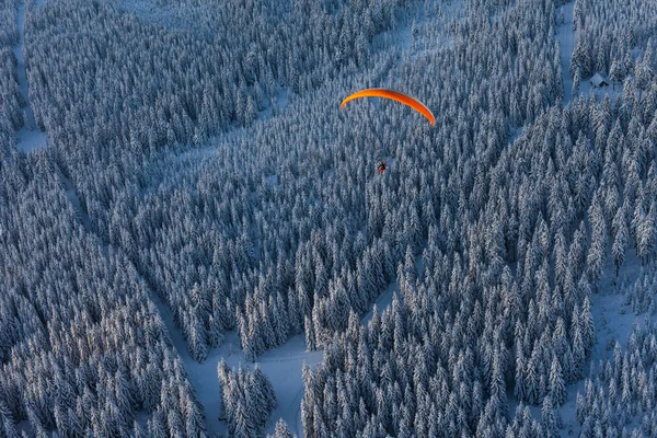 Flygfoto över paramotor över skogen på vintern — Stockfoto