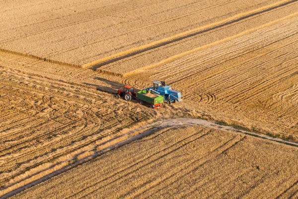 Luftaufnahme des Mähdreschers auf dem Erntefeld — Stockfoto