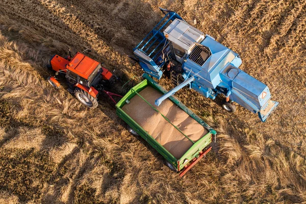 Luchtfoto van combineren op het gebied van de oogst — Stockfoto