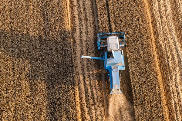 Vista aérea de combine en el campo de cosecha —  Fotos de Stock