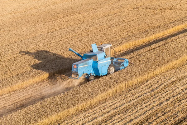 Vista aerea di combinare sul campo di raccolta — Foto Stock