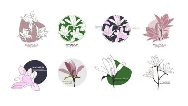 Çiçekli amblemler. Manolya. Bahar çiçekleri. Vektör illüstrasyonu.