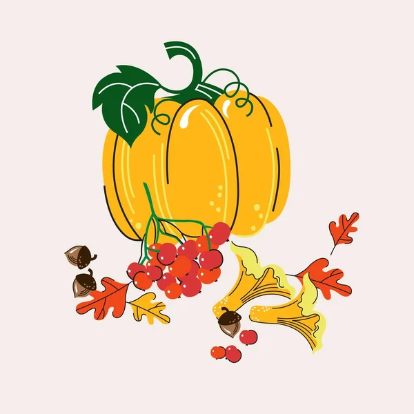 Sonbahar. Vektör düz çizim. Sonbahar hala hayattır. Hasat et. Balkabağı, kabak, meşe palamudu, mantar, yaprak.