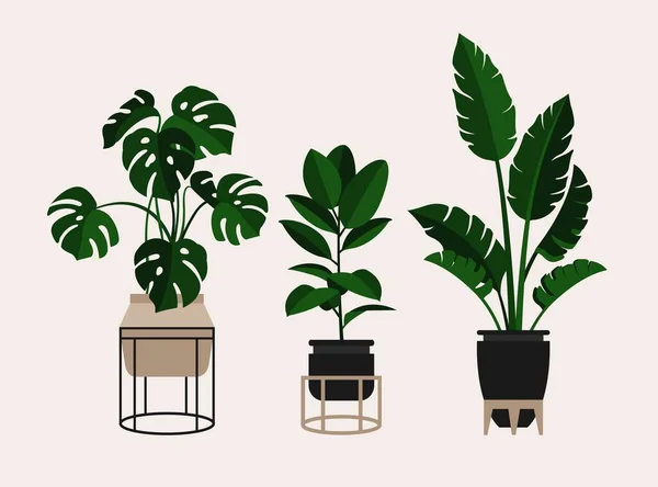 Woonplanten Klaar Bloemen Potten Vector Illustratie Planten Een Moderne Trendy — Stockvector