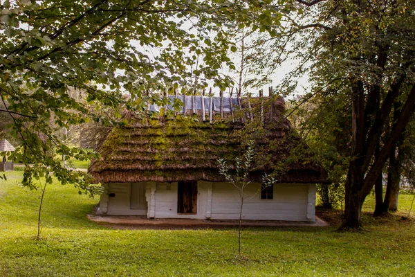Польская Деревня Старый Коттедж Музее Этнографии Открытым Небом Саноке — стоковое фото