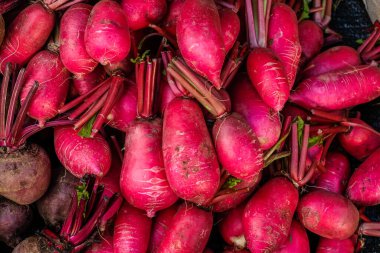 Piyasada satılmak üzere taze kırmızı turp..