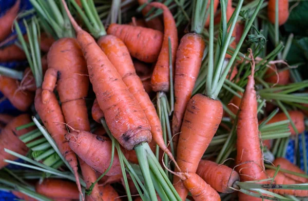 Gruppe Frischer Baby Karotten Zum Verkauf Auf Dem Markt — Stockfoto