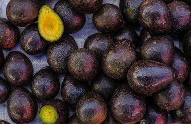 Fresh tropical avocado fruit close up display for sell at the market, good for background