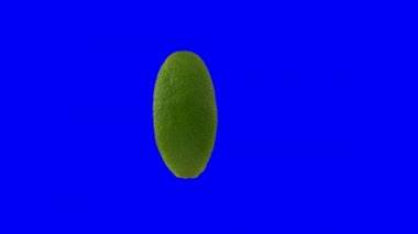 kireç kama dönüşü mavi ekranda 360 derece izole