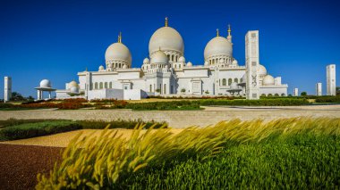 Abu Dabi 'deki Şeyh Zayed Büyük Camii.