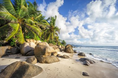 Güzel tropikal plaj anse marie-louise granit kayalar ve Seyşeller 'in kumlarında palmiye ağaçları