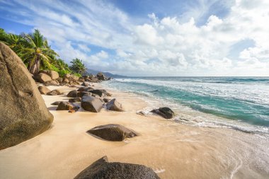 Güzel tropikal plaj anse marie-louise granit kayalar ve Seyşeller 'in kumlarında palmiye ağaçları