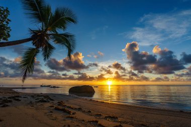 Cennet sahilinde romantik bir gün doğumu. Palmiyeler, granit kayalar ve Anse aux lobutları ve Seyşeller 'de altın kum.