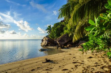 Altın kum, granit kayalar ve palmiye ağaçları Seyşeller 'deki güzel cennet kumsalında