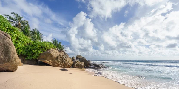 Belas Palmeiras Praia Tropical Selvagem Nas Seicheles — Fotografia de Stock