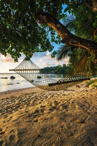 Kuszący Relaksujący Hamak Pięknym Złotym Romantycznym Wschodzie Słońca Rajskiej Plaży — Zdjęcie stockowe