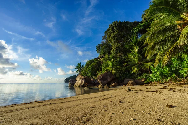 Arena Dorada Rocas Granito Palmeras Una Hermosa Playa Paradisíaca Las —  Fotos de Stock