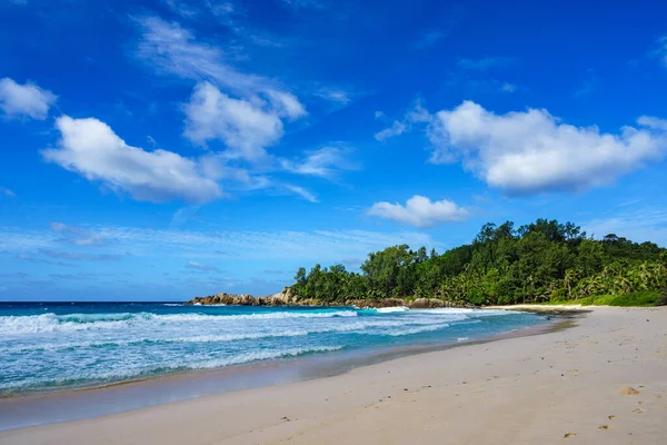 Krásný Ráj Tropické Pláže Palmami Žulové Skály Bílý Písek Modrá — Stock fotografie