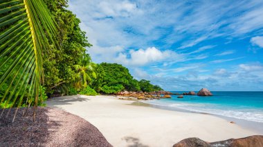 Turkuaz su, granit kayalar ve tropik sahildeki beyaz kumda palmiye ağaçları Seyşeller 'deki Anse Lazio' da.