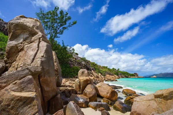 Spousta Žulových Skal Tropické Pláži Kuriózního Ostrova Seychelách — Stock fotografie