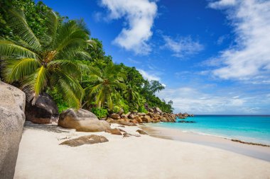 Seyşel Adaları 'ndaki beyaz kumsalda palmiye ağaçları ve granit kayaları