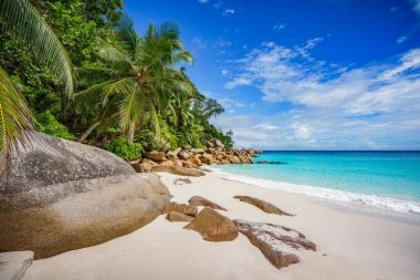 Seyşel Adaları 'ndaki beyaz kumsalda palmiye ağaçları ve granit kayaları
