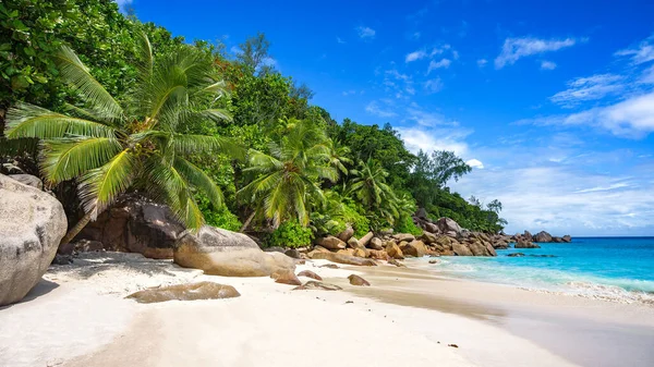 Palm Trees Granite Rocks White Sand Seychelles Tropical Beach — Stock Photo, Image