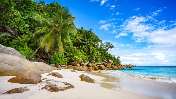 Palmeiras Rochas Granito Areia Branca Praia Tropical Das Seychelles — Fotografia de Stock