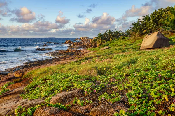 Amanecer Costa Rocosa Tropical Anse Songe Digue Las Seychelles —  Fotos de Stock