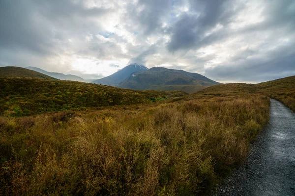 Hiking Tongariro Alpine Crossing Cone Volcano Mount Ngauruhoe New Zealand — Stock Photo, Image